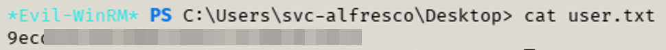 Capturing the user flag