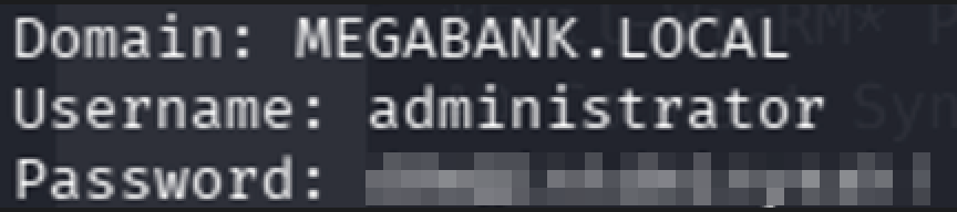 Domain Admin Password